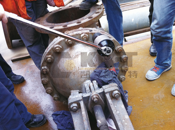 Torque Multiplier for Pressure Vessel Nut Preload