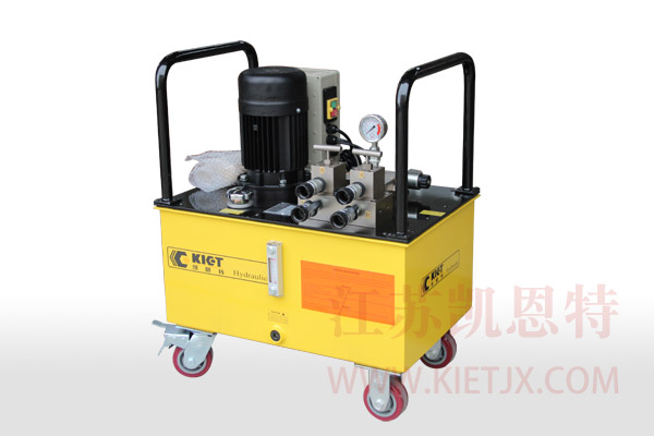 Electric hydraulic pump (one drive two)